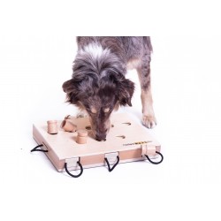 iPet@ - ein Laptop für Hunde